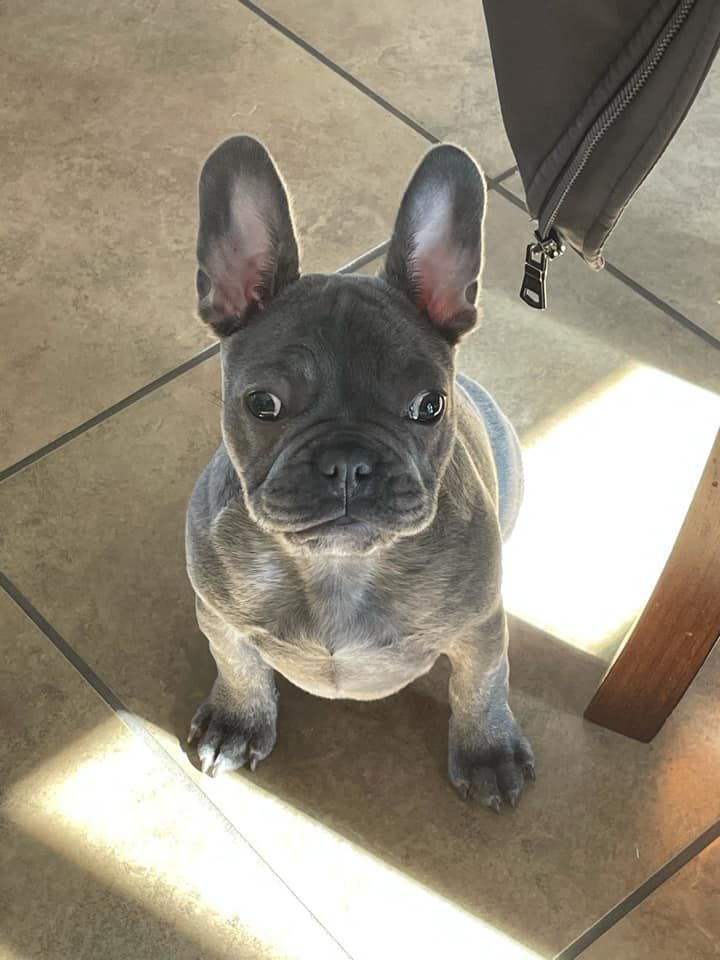 Stout, submitted by Mike Fitzgerald